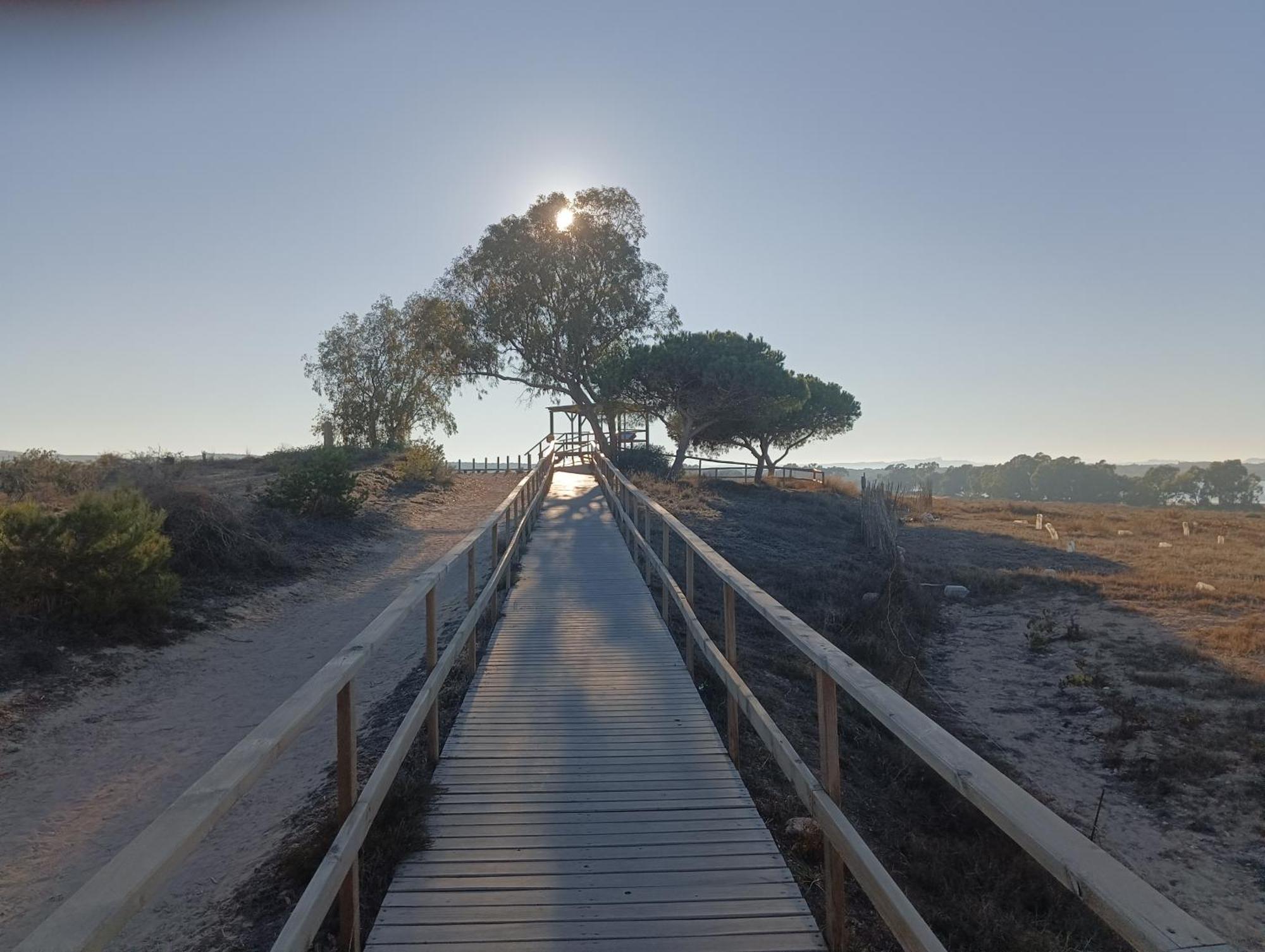 Bonito Apartamento 150 M De La Playa La Mata La Mata  Eksteriør bilde