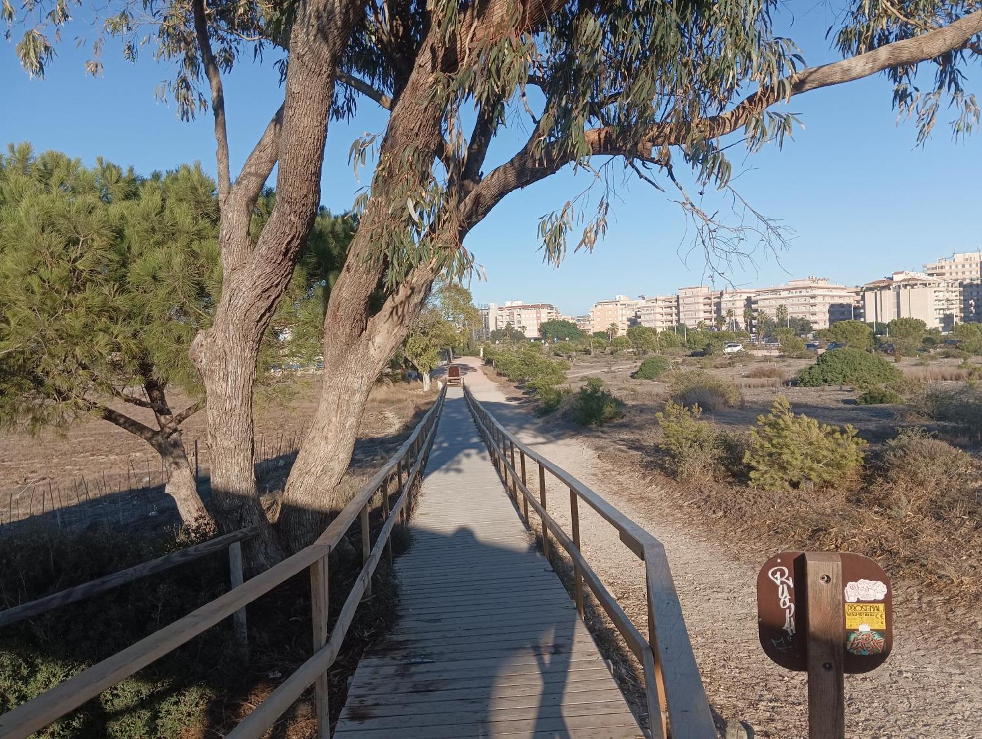 Bonito Apartamento 150 M De La Playa La Mata La Mata  Eksteriør bilde