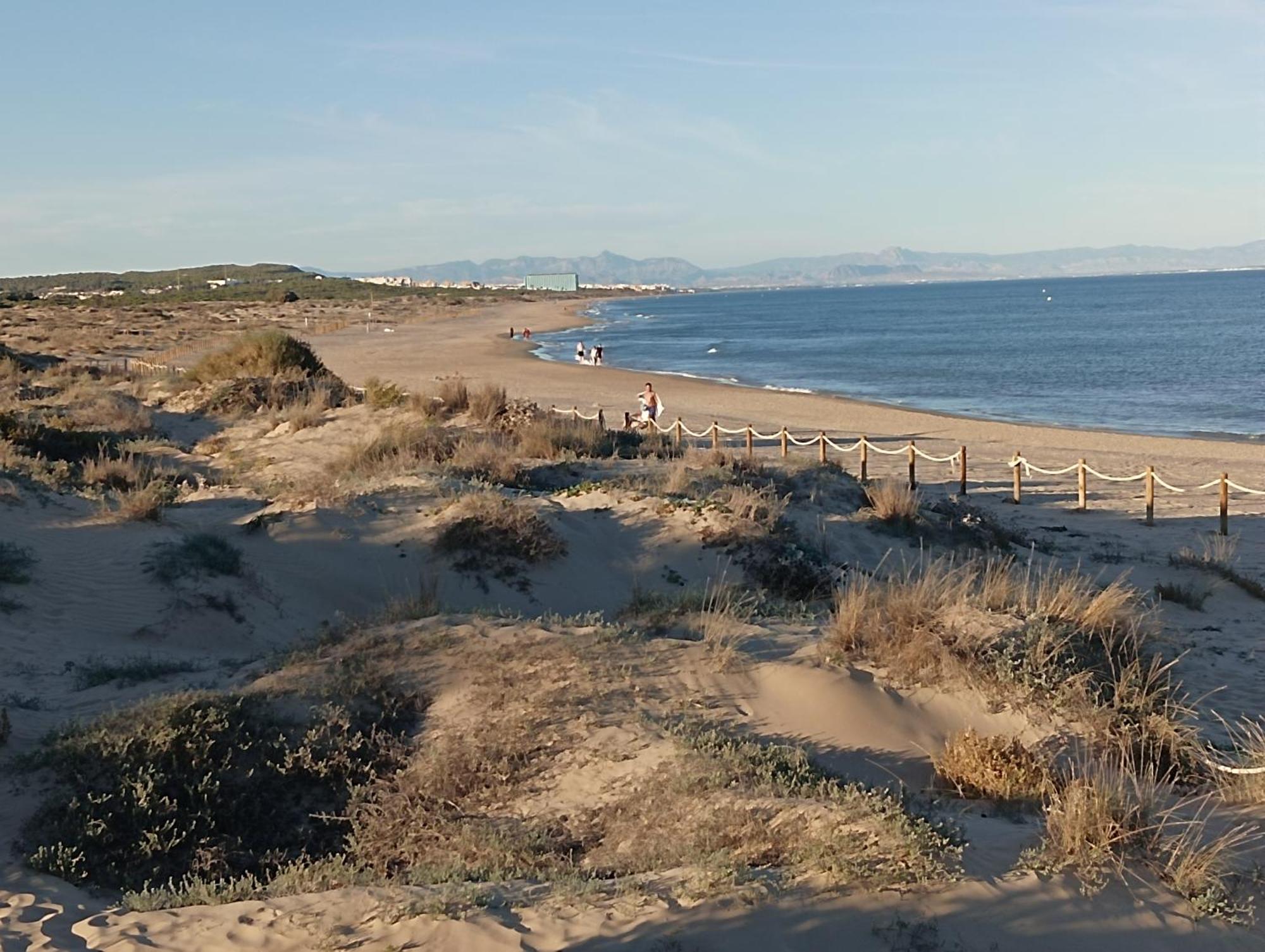 Bonito Apartamento 150 M De La Playa La Mata La Mata  Eksteriør bilde