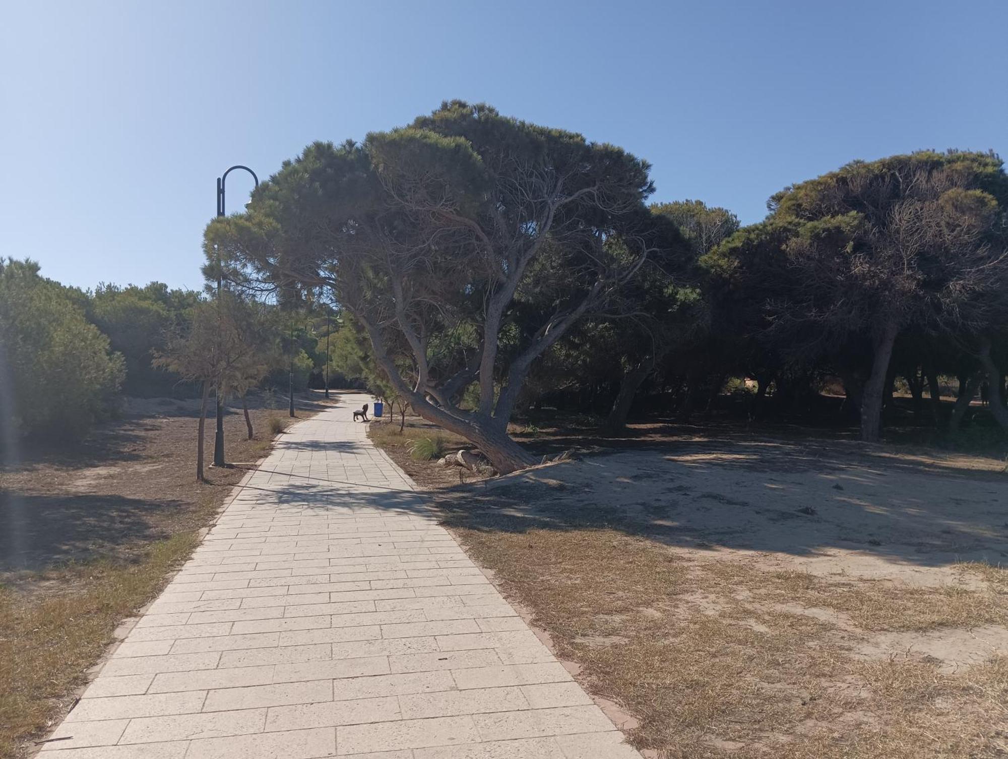 Bonito Apartamento 150 M De La Playa La Mata La Mata  Eksteriør bilde
