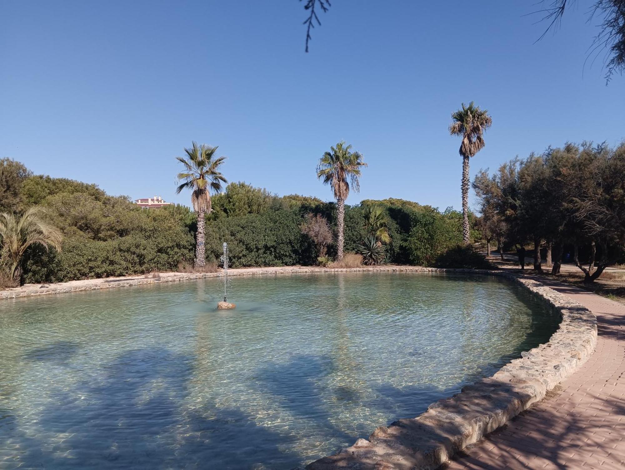 Bonito Apartamento 150 M De La Playa La Mata La Mata  Eksteriør bilde