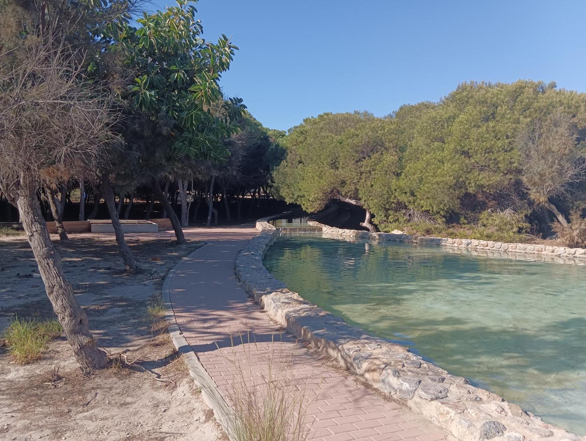 Bonito Apartamento 150 M De La Playa La Mata La Mata  Eksteriør bilde
