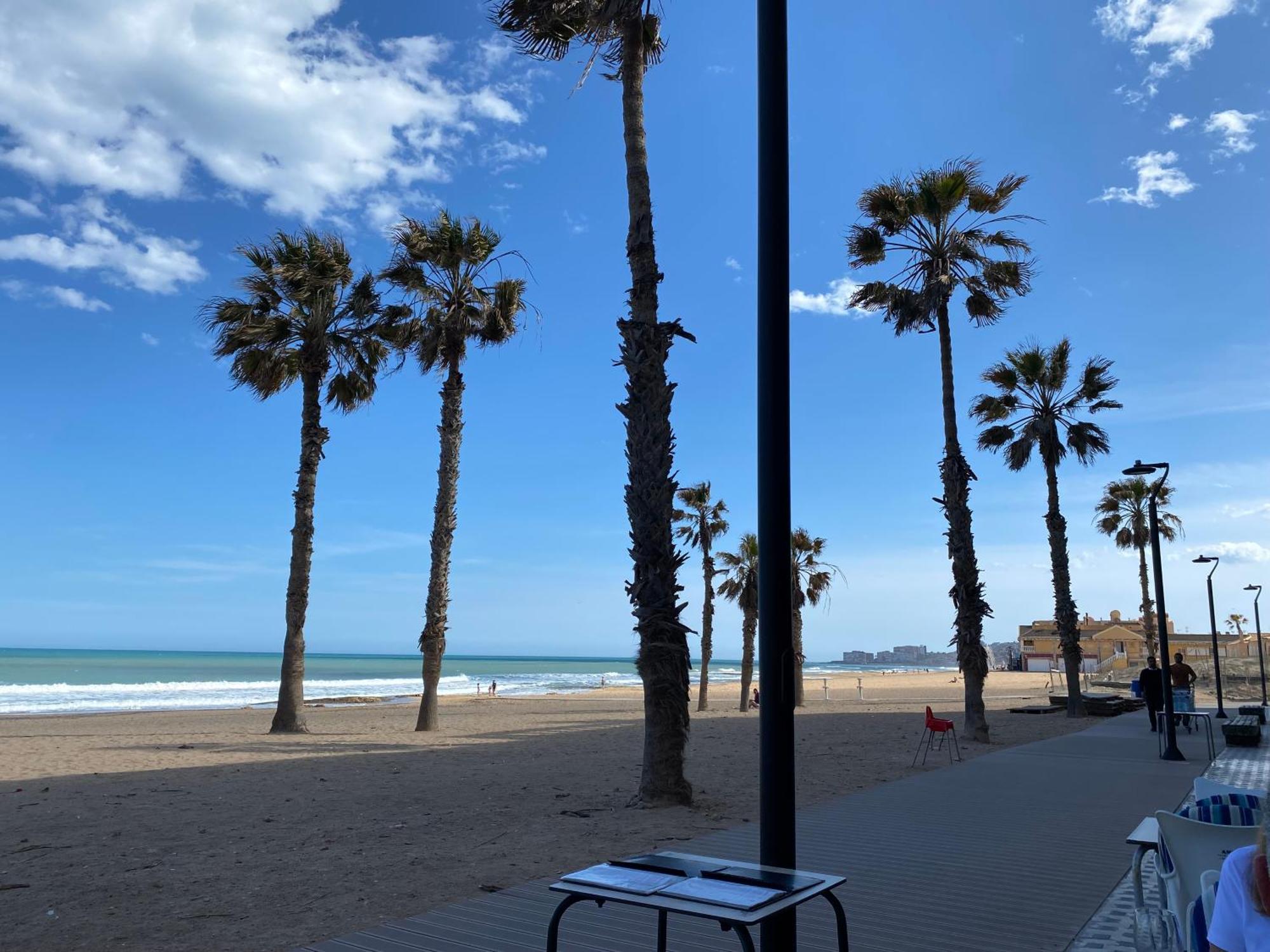 Bonito Apartamento 150 M De La Playa La Mata La Mata  Eksteriør bilde